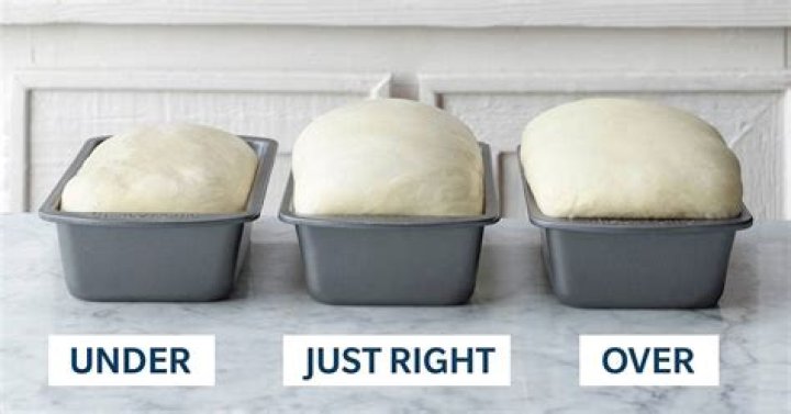 Is one hour enough for dough to rise?
