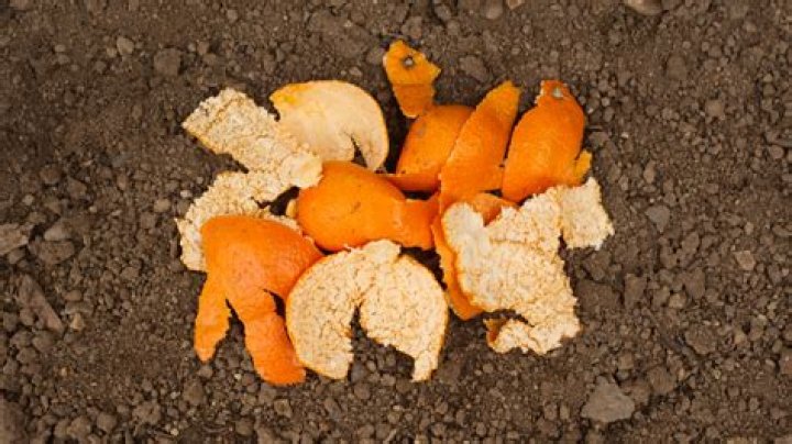 Is orange peels good for weed plant?