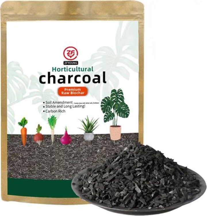 Is organic charcoal the same as activated charcoal?