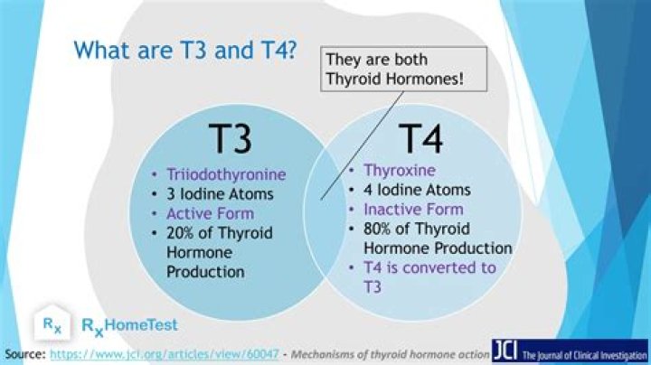 Is Rotella T and T4 the same?