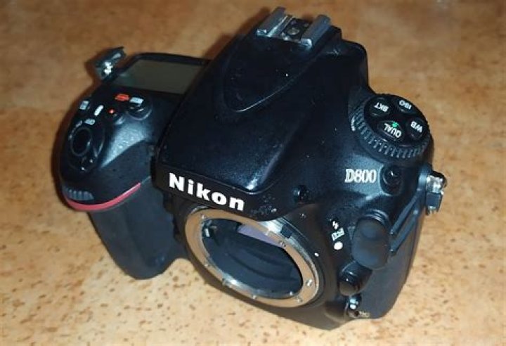 Is the Nikon D800 good for astrophotography?