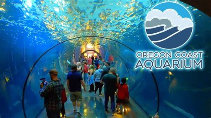 Is the Oregon Coast Aquarium good?