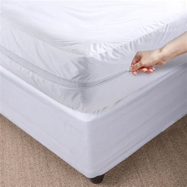 Is there a mattress cover for bed bugs?