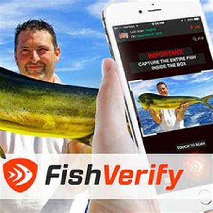 Is there an app to identify sea creatures?
