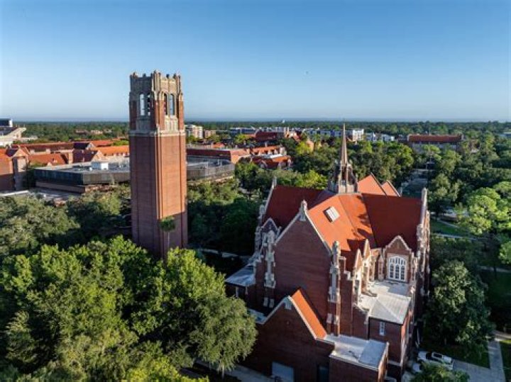 Is University of Florida good for animation?