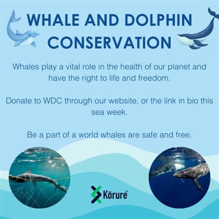 Is Whale and Dolphin Conservation legit?
