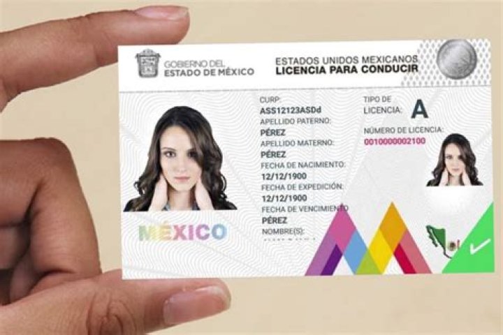 Que significa la letra D en la licencia de conducir?
