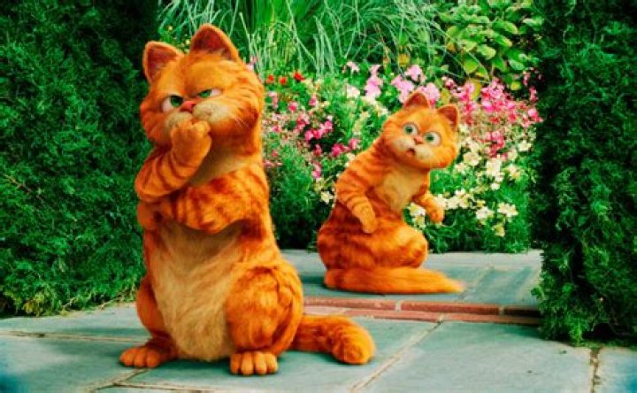 Was Bill Murray tricked into Garfield?