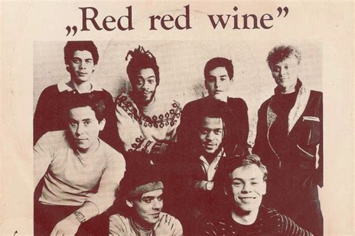 Was there a song called Red Red Wine?