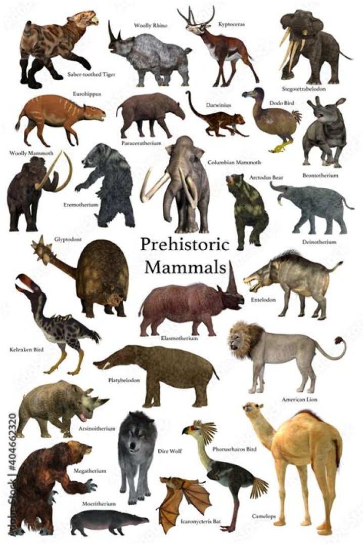 What animals were around before dinosaurs?