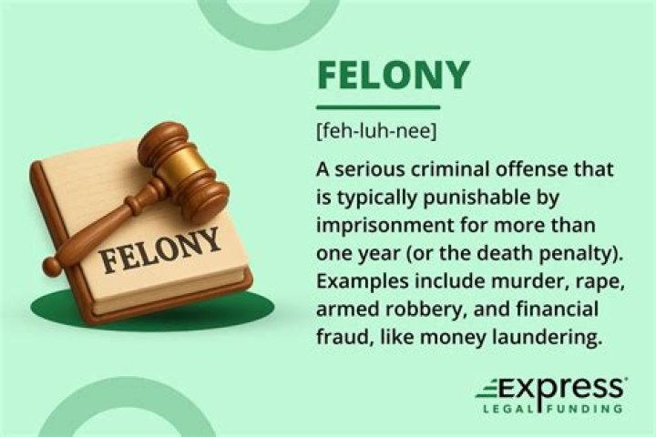 What are 3 examples of a felony?