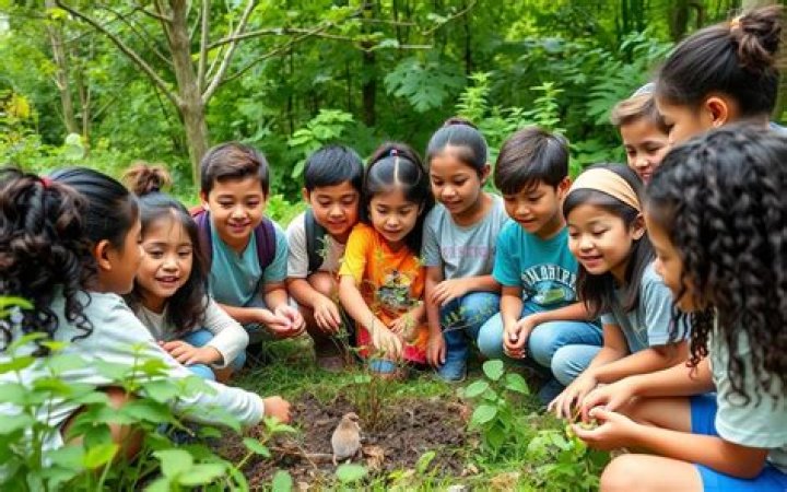 What are environmental education programs?