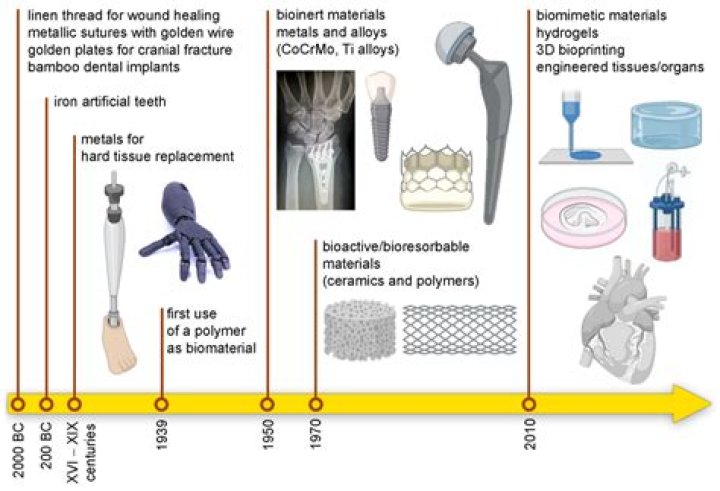 What are examples of biomaterials?