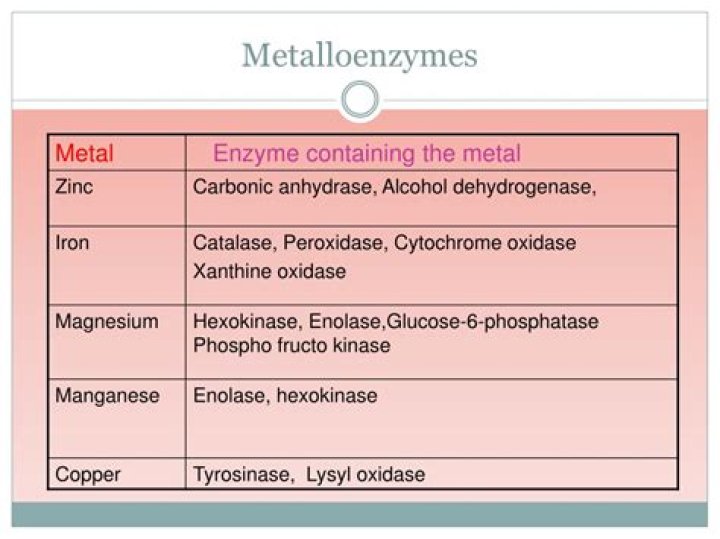 What are Metalloenzymes examples?