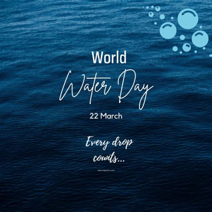 What are quotes about water?