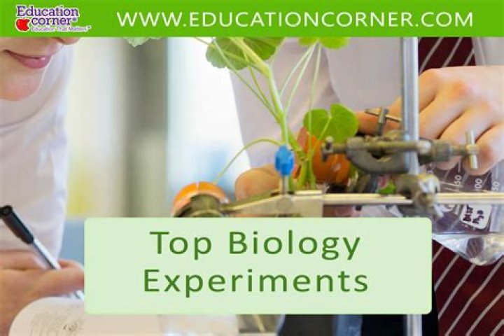 What are some good biology experiments?