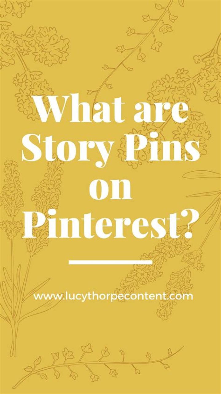 What are story pins?