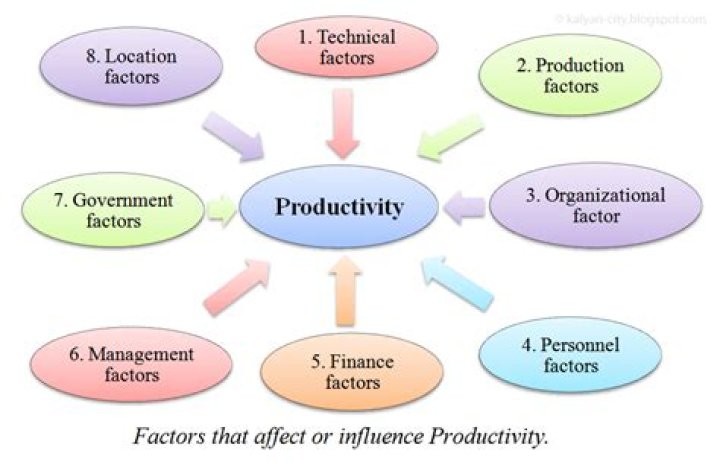 What are the 4 factors that increased productivity?