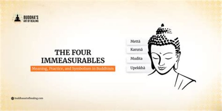 What are the 4 Immeasurables in Buddhism?