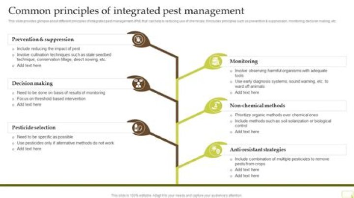 What are the 4 principles of integrated pest management?