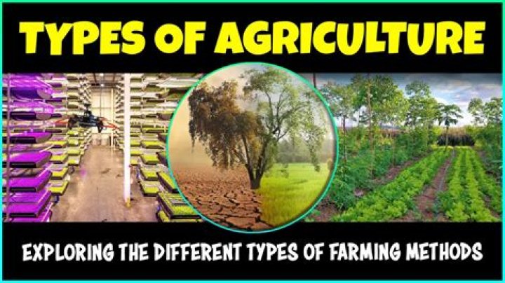What are the 4 types of agriculture?