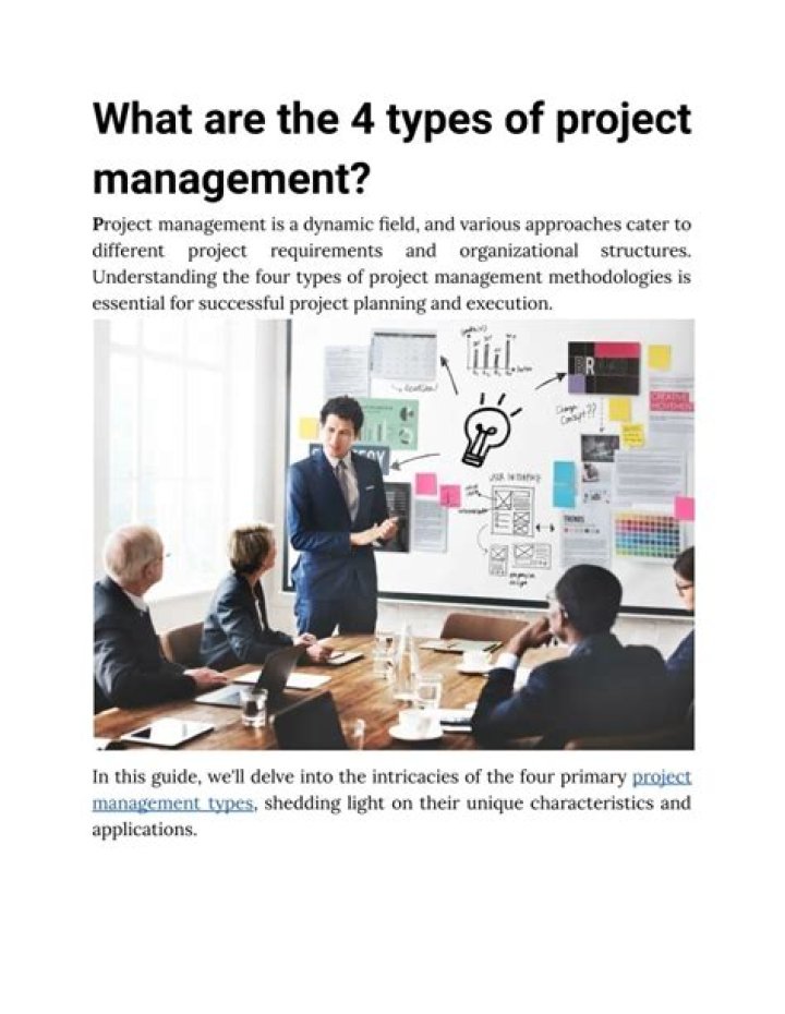 What are the 4 types of project management?