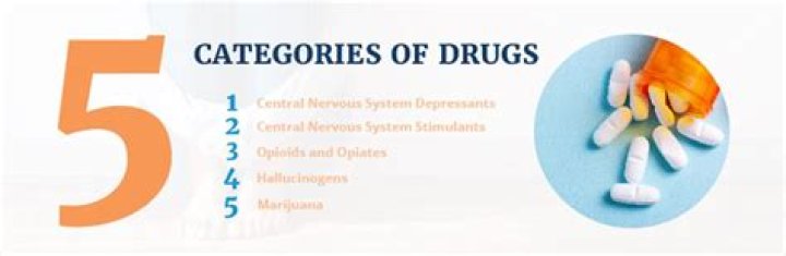 What are the 5 classifications of drugs?