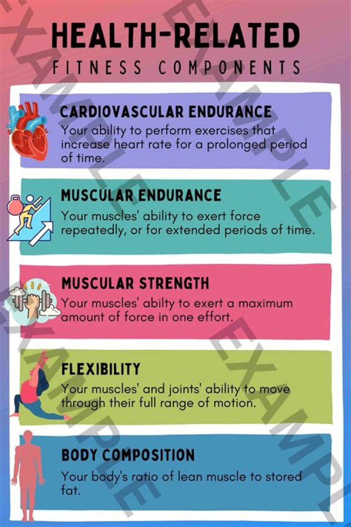 What are the 6 components of an effective movement assessment?