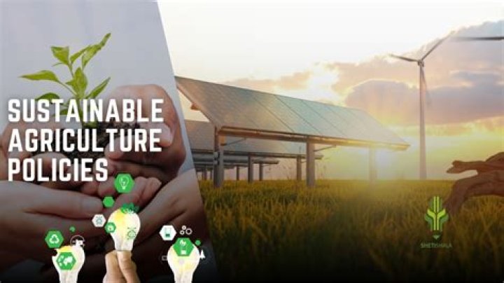 What are the agriculture policies in Tanzania?