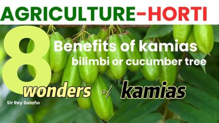 What are the benefits of kamias?
