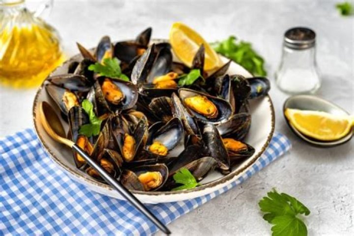 What are the best months to eat mussels?