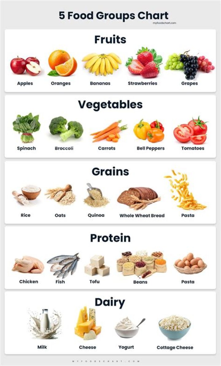 What are the main food groups and nutrients?