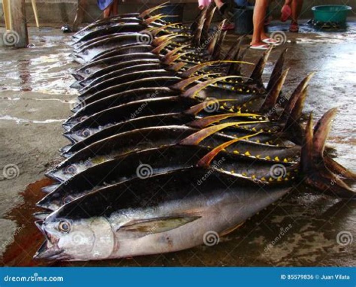 What are the major fishing ground for tuna in the Philippines?