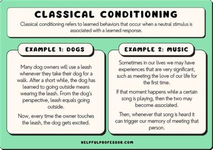 What are the major similarities between classical and operant conditioning?