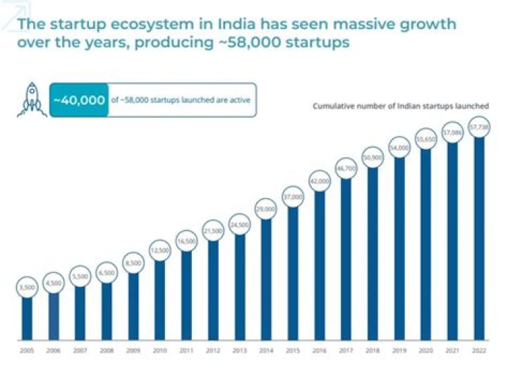 What are the most popular startups?