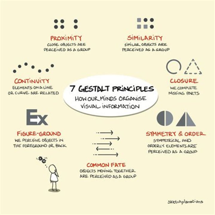 What are the principles of categorization?