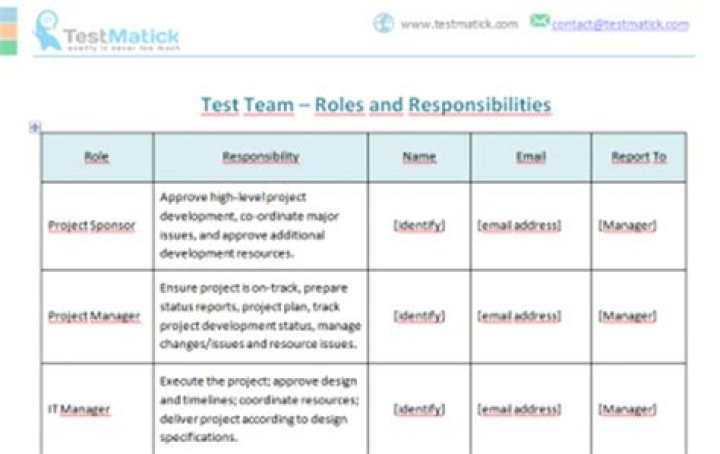 What are the responsibilities of Test Manager?