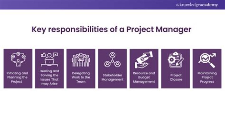 What are the roles and responsibilities of a project manager PDF?