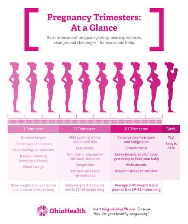 What are the signs of healthy pregnancy in first trimester?
