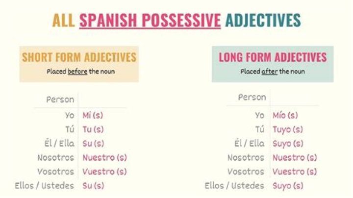 What are the six possessive adjectives in Spanish?