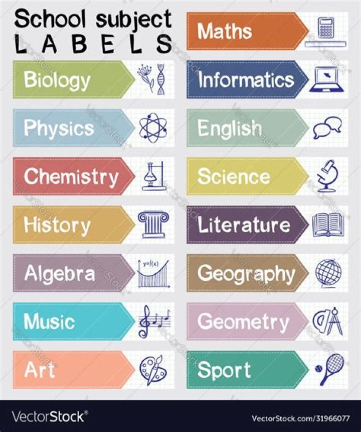 What are the subjects in PhD?