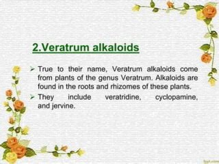 What are Veratrum alkaloids?