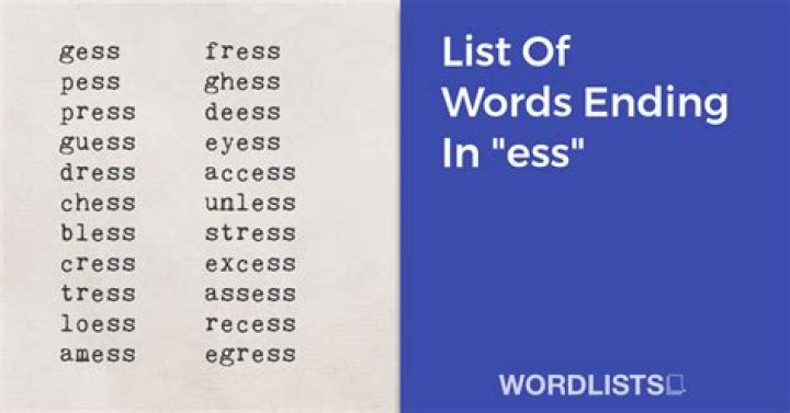 What are words that end with ESS?