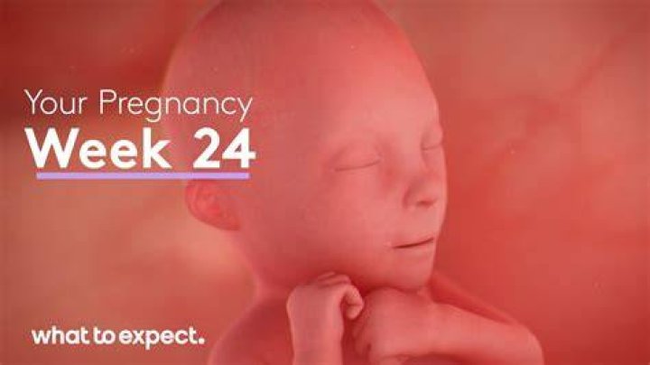 What baby looks like at 24weeks?