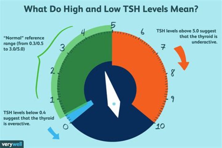 What can affect your TSH levels?