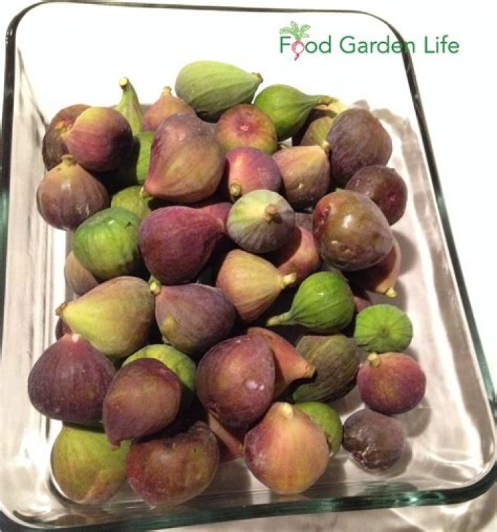 What can I do with not quite ripe figs?