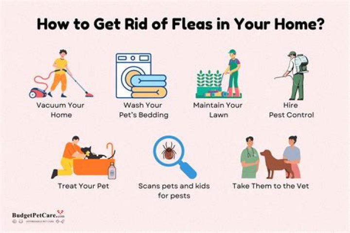 What can kill fleas instantly naturally?
