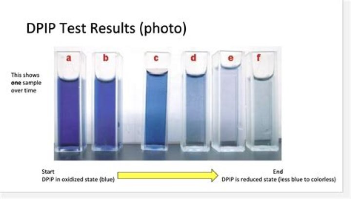 What causes colorless DPIP?