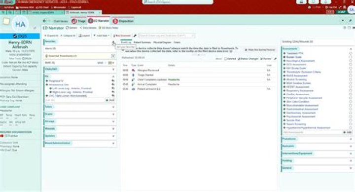 What charting system does Houston methodist use?