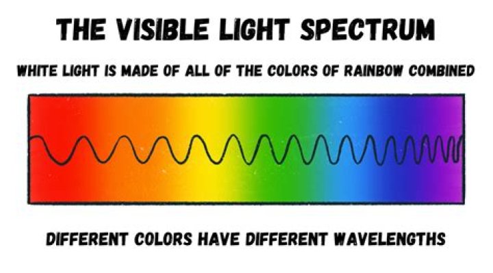 What color does Phaeophytin absorb?